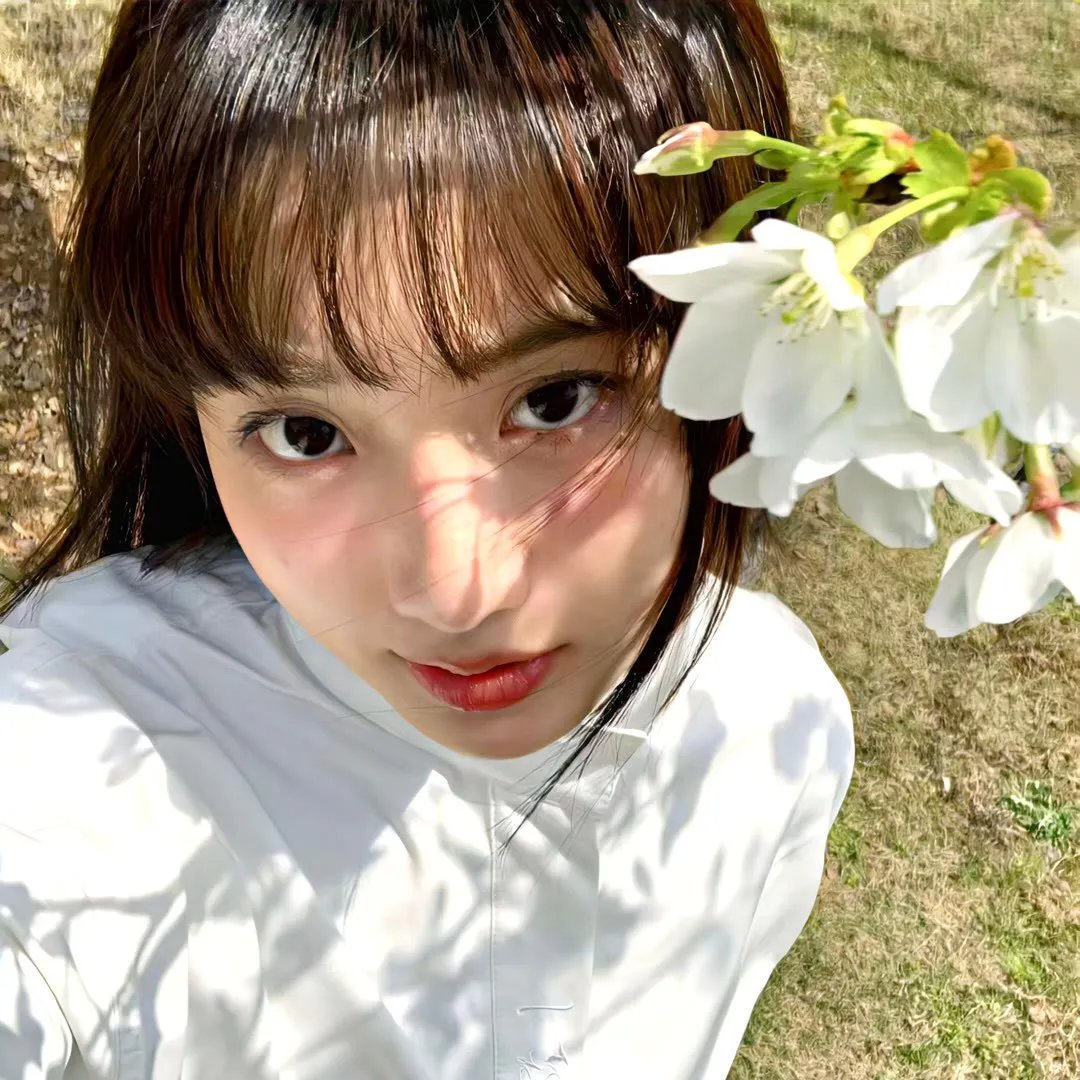 蒸盒号起航